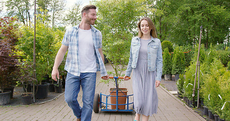 Image showing Happy young couple in plant shop just bought a nice potted tree