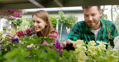 Image showing Smiling young man and woman gardeners taking care of flowers and plants