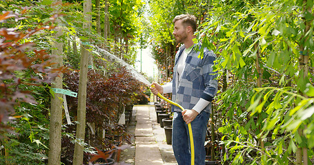 Image showing Man watering plants in garden