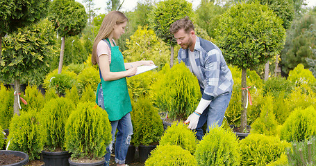 Image showing Man and woman professional gardeners with small potted tree in the garden