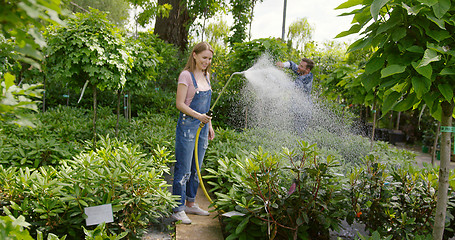 Image showing Gardeners man and woman standing together and spraying water on flowers