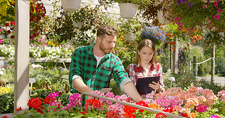 Image showing Two Gardeners doing paperwork between plants