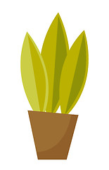 Image showing Green plant in a pot vector cartoon illustration.