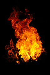 Image showing Fire 