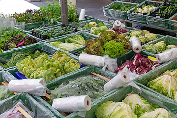 Image showing Salads Market