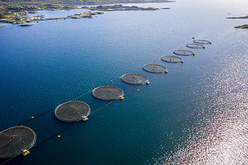 Image showing Farm salmon fishing in Norway