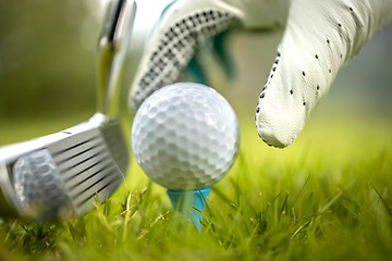 Image showing Hand in glove placing golf ball on tee