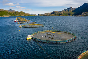 Image showing Farm salmon fishing in Norway