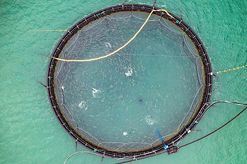 Image showing Farm salmon fishing in Norway