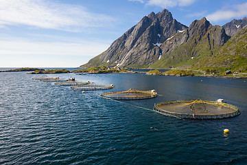 Image showing Farm salmon fishing in Norway