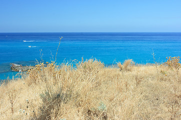 Image showing Tropea dry grass