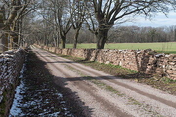 Image showing Springtime by a dirt road in an alley