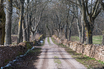 Image showing Country road surrounded by dry stone walls