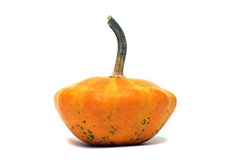 Image showing Fancy pumpkin