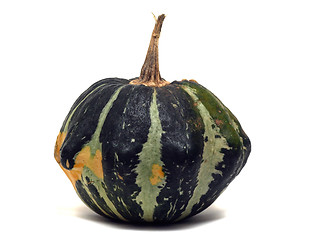 Image showing Fancy pumpkin