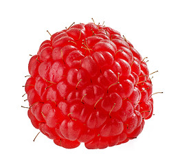 Image showing raspberry macro on white background