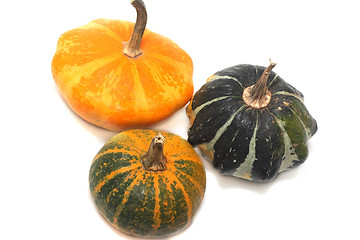 Image showing Three fancy pumpkins