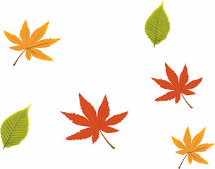 Image showing Autumn leaves