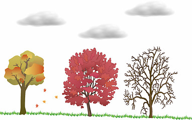 Image showing Autumn Background