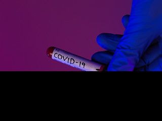 Image showing Coronavirus, Doctor holding positive covid-19 virus Blood Sample