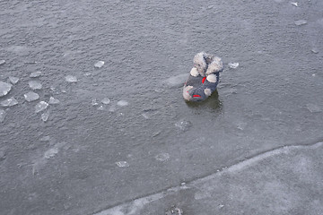 Image showing Fluffy obsolete slipper on the frozen water surface