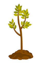 Image showing Tree growing in the soil vector illustration.