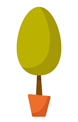 Image showing Young tree in a pot vector cartoon illustration.