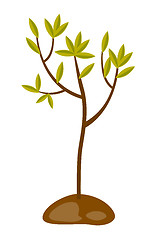 Image showing Tree growing in the soil vector illustration.