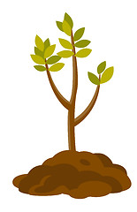 Image showing Tree growing in the soil vector illustration.