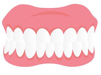 Image showing Dental jaw model vector cartoon illustration.