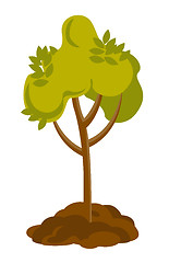 Image showing Tree growing in the soil vector illustration.