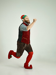 Image showing friendly man dressed like a funny gnome posing on an isolated gray background