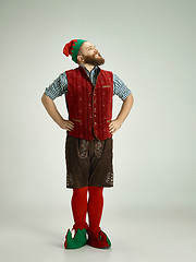 Image showing friendly man dressed like a funny gnome posing on an isolated gray background