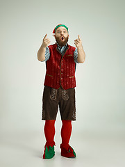 Image showing friendly man dressed like a funny gnome posing on an isolated gray background