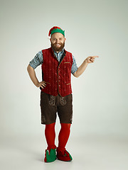 Image showing friendly man dressed like a funny gnome posing on an isolated gray background