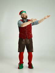 Image showing friendly man dressed like a funny gnome posing on an isolated gray background