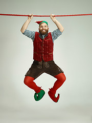 Image showing friendly man dressed like a funny gnome posing on an isolated gray background