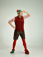 Image showing friendly man dressed like a funny gnome posing on an isolated gray background