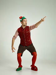 Image showing friendly man dressed like a funny gnome posing on an isolated gray background