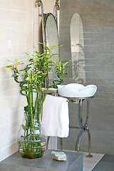 Image showing Bamboo bathroom