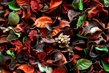 Image showing Potpourri