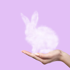 Image showing Rabbit from the cloud in the woman\'s hand. Easter concept