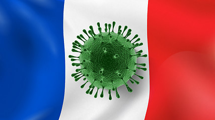 Image showing Bacteria of Coronavirus on the background of French flag.