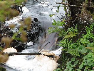 Image showing SmallFall