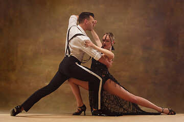 Image showing Flexible young modern dance couple posing in studio.