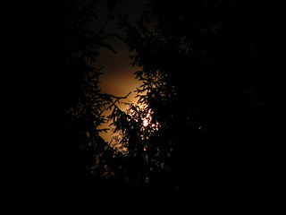 Image showing Late Summer Moon