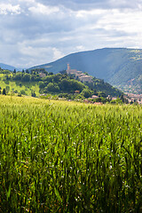 Image showing Camerino in Italy Marche over colourful fields