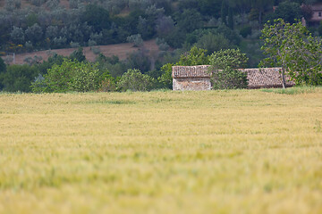 Image showing landscape mood in Italy Marche