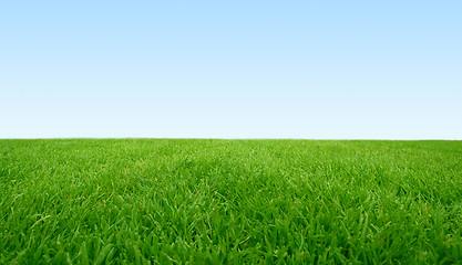 Image showing Green Field