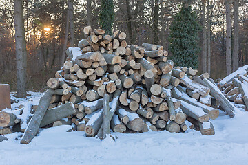 Image showing Firewood in Wood